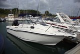 Boston Whaler 235 Conquest Nemo