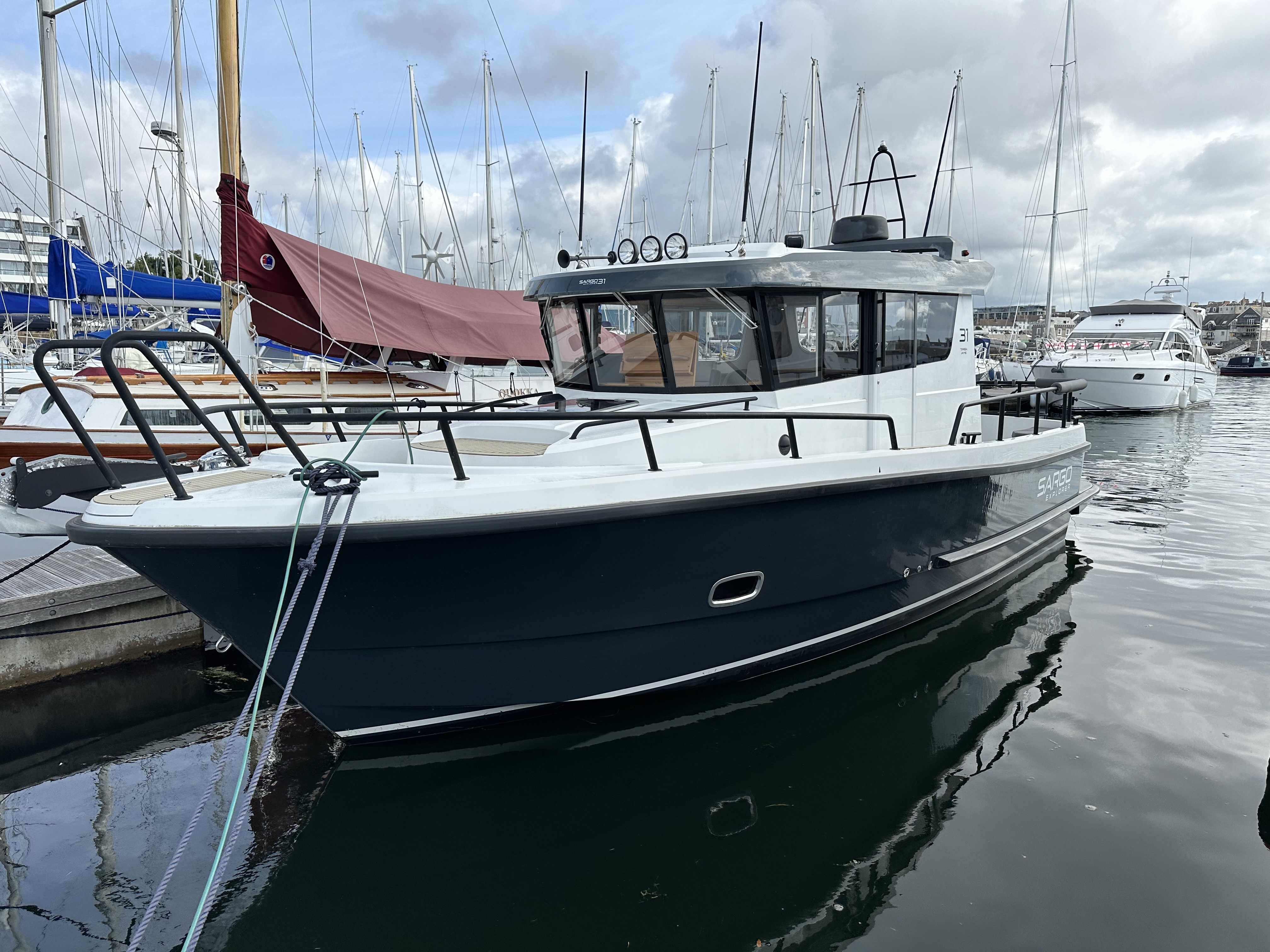 Sargo 31