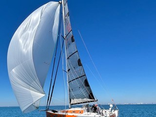 2008 Pogo 40