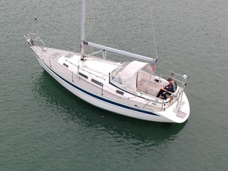 Hallberg Rassy 31 for Sale