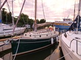 Norfolk Smuggler