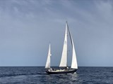 Swan 55