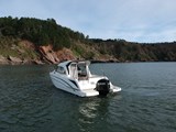 Antares 8 - For Sale